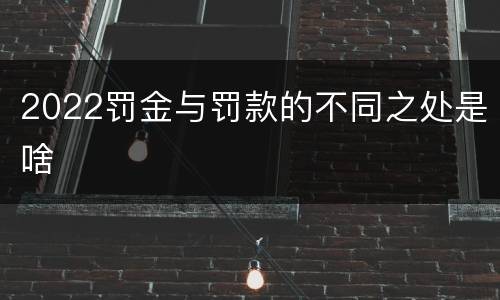 2022罚金与罚款的不同之处是啥