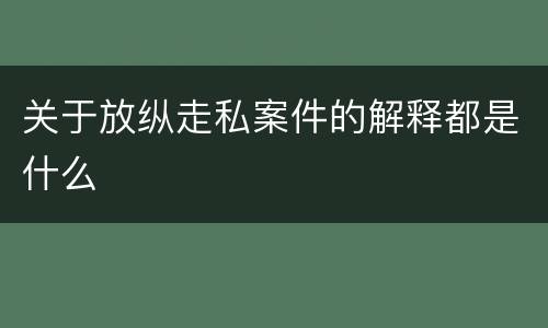 关于放纵走私案件的解释都是什么