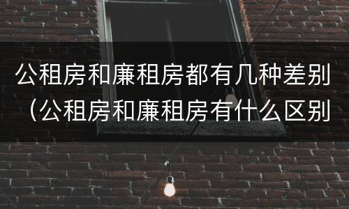公租房和廉租房都有几种差别（公租房和廉租房有什么区别吗）