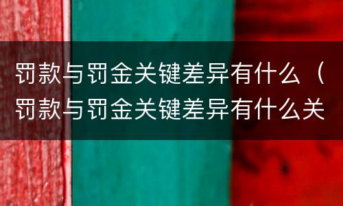 罚款与罚金关键差异有什么（罚款与罚金关键差异有什么关系）
