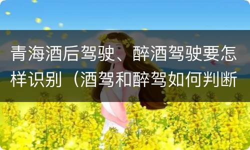 青海酒后驾驶、醉酒驾驶要怎样识别（酒驾和醉驾如何判断）