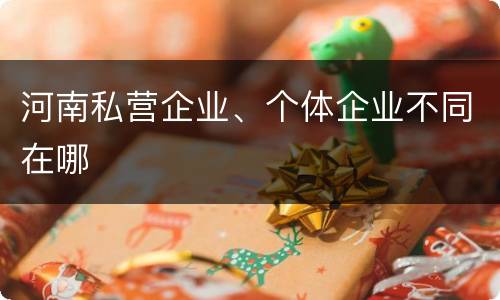 河南私营企业、个体企业不同在哪