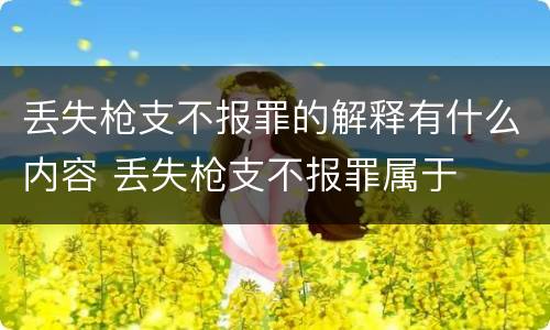 丢失枪支不报罪的解释有什么内容 丢失枪支不报罪属于