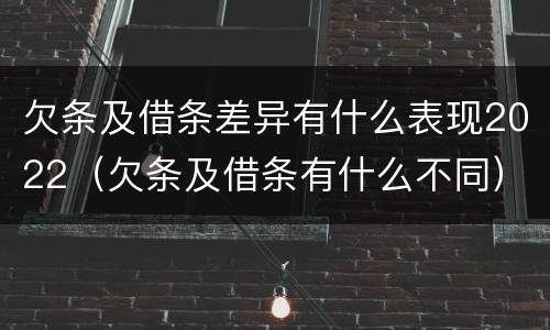 欠条及借条差异有什么表现2022（欠条及借条有什么不同）