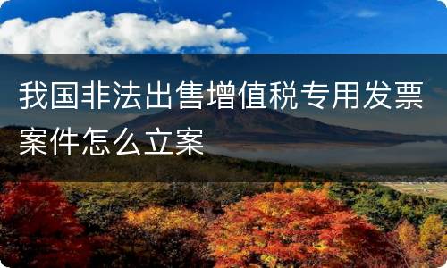 我国非法出售增值税专用发票案件怎么立案