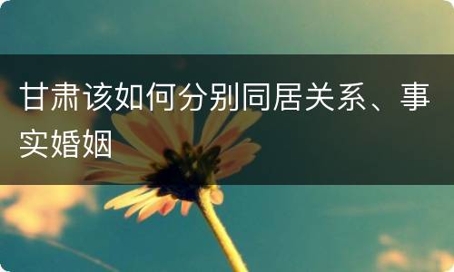 甘肃该如何分别同居关系、事实婚姻
