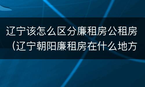 辽宁该怎么区分廉租房公租房（辽宁朝阳廉租房在什么地方）