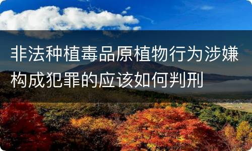 非法种植毒品原植物行为涉嫌构成犯罪的应该如何判刑
