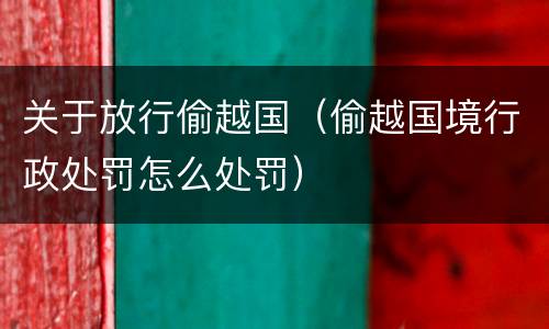 关于放行偷越国（偷越国境行政处罚怎么处罚）