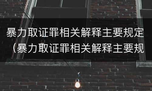 暴力取证罪相关解释主要规定（暴力取证罪相关解释主要规定有）