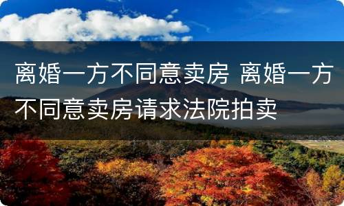 离婚一方不同意卖房 离婚一方不同意卖房请求法院拍卖