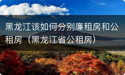 黑龙江该如何分别廉租房和公租房（黑龙江省公租房）