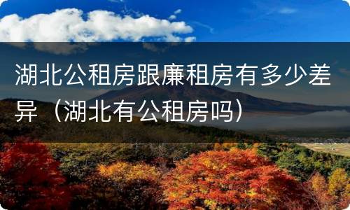 湖北公租房跟廉租房有多少差异（湖北有公租房吗）
