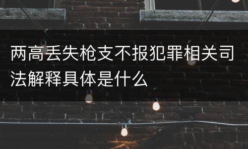 两高丢失枪支不报犯罪相关司法解释具体是什么
