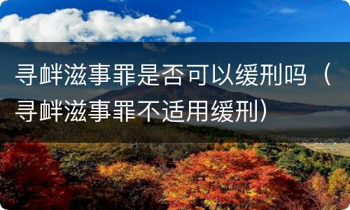 寻衅滋事罪是否可以缓刑吗（寻衅滋事罪不适用缓刑）