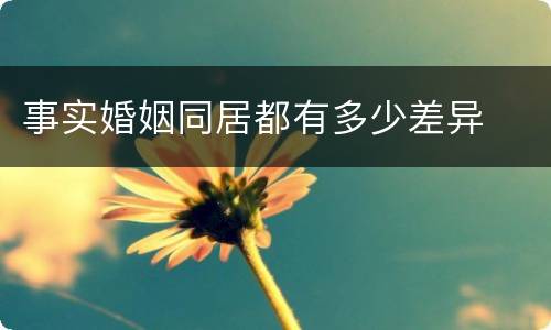 事实婚姻同居都有多少差异