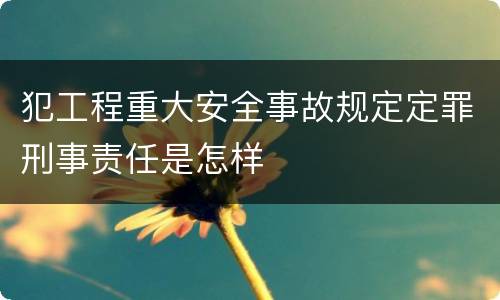 犯工程重大安全事故规定定罪刑事责任是怎样