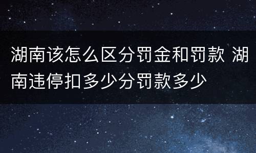 湖南该怎么区分罚金和罚款 湖南违停扣多少分罚款多少