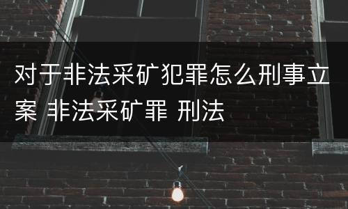 对于非法采矿犯罪怎么刑事立案 非法采矿罪 刑法