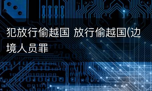 犯放行偷越国 放行偷越国(边境人员罪