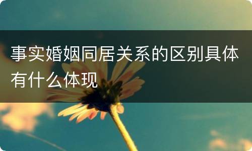 事实婚姻同居关系的区别具体有什么体现