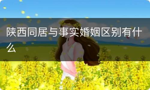陕西同居与事实婚姻区别有什么