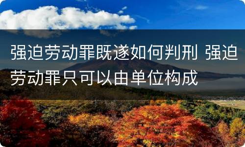 强迫劳动罪既遂如何判刑 强迫劳动罪只可以由单位构成