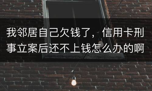 我邻居自己欠钱了，信用卡刑事立案后还不上钱怎么办的啊