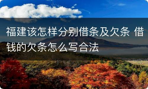 福建该怎样分别借条及欠条 借钱的欠条怎么写合法