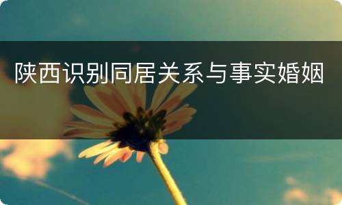 陕西识别同居关系与事实婚姻