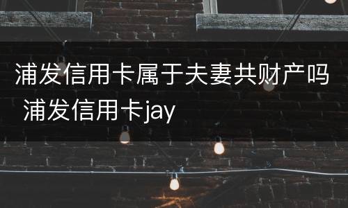 浦发信用卡属于夫妻共财产吗 浦发信用卡jay