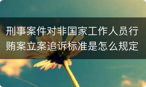 刑事案件对非国家工作人员行贿案立案追诉标准是怎么规定