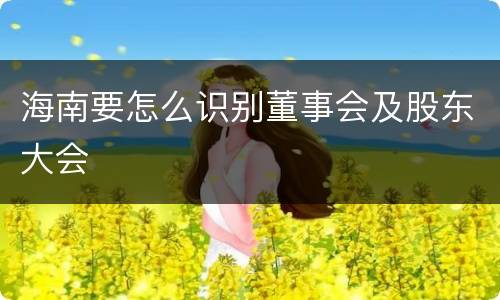 海南要怎么识别董事会及股东大会