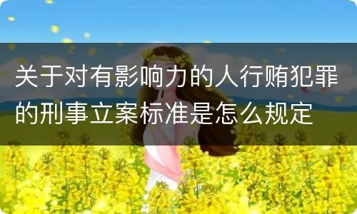 关于对有影响力的人行贿犯罪的刑事立案标准是怎么规定