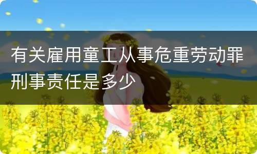 有关雇用童工从事危重劳动罪刑事责任是多少