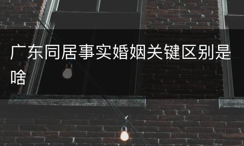 广东同居事实婚姻关键区别是啥