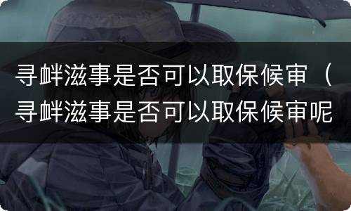 寻衅滋事是否可以取保候审（寻衅滋事是否可以取保候审呢）