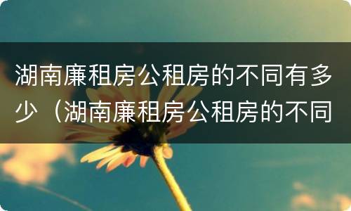 湖南廉租房公租房的不同有多少（湖南廉租房公租房的不同有多少区别）