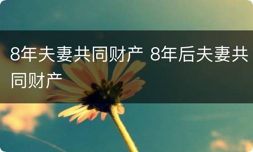 8年夫妻共同财产 8年后夫妻共同财产