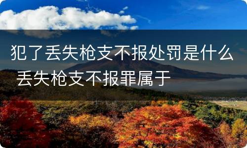 犯了丢失枪支不报处罚是什么 丢失枪支不报罪属于