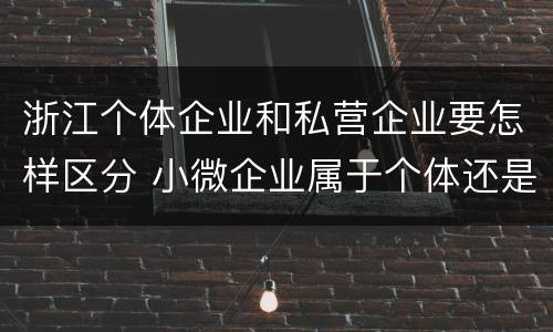 浙江个体企业和私营企业要怎样区分 小微企业属于个体还是私营