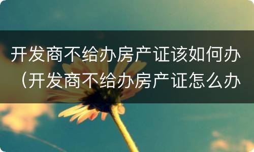 开发商不给办房产证该如何办（开发商不给办房产证怎么办?）