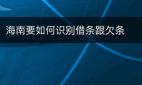 海南要如何识别借条跟欠条