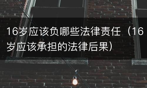 16岁应该负哪些法律责任（16岁应该承担的法律后果）