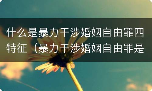 什么是暴力干涉婚姻自由罪四特征（暴力干涉婚姻自由罪是刑法第几章）