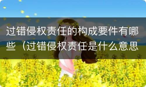 过错侵权责任的构成要件有哪些（过错侵权责任是什么意思）