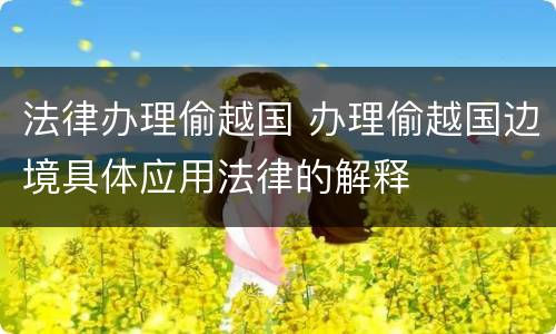 法律办理偷越国 办理偷越国边境具体应用法律的解释