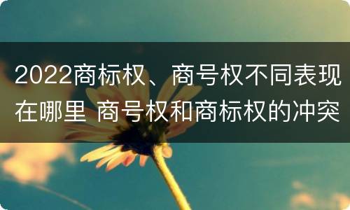 2022商标权、商号权不同表现在哪里 商号权和商标权的冲突和解决