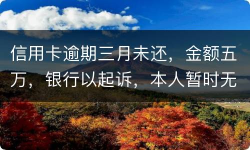 信用卡逾期三月未还，金额五万，银行以起诉，本人暂时无偿还能力