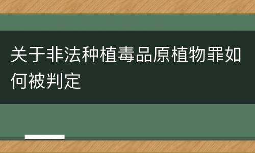 关于非法种植毒品原植物罪如何被判定